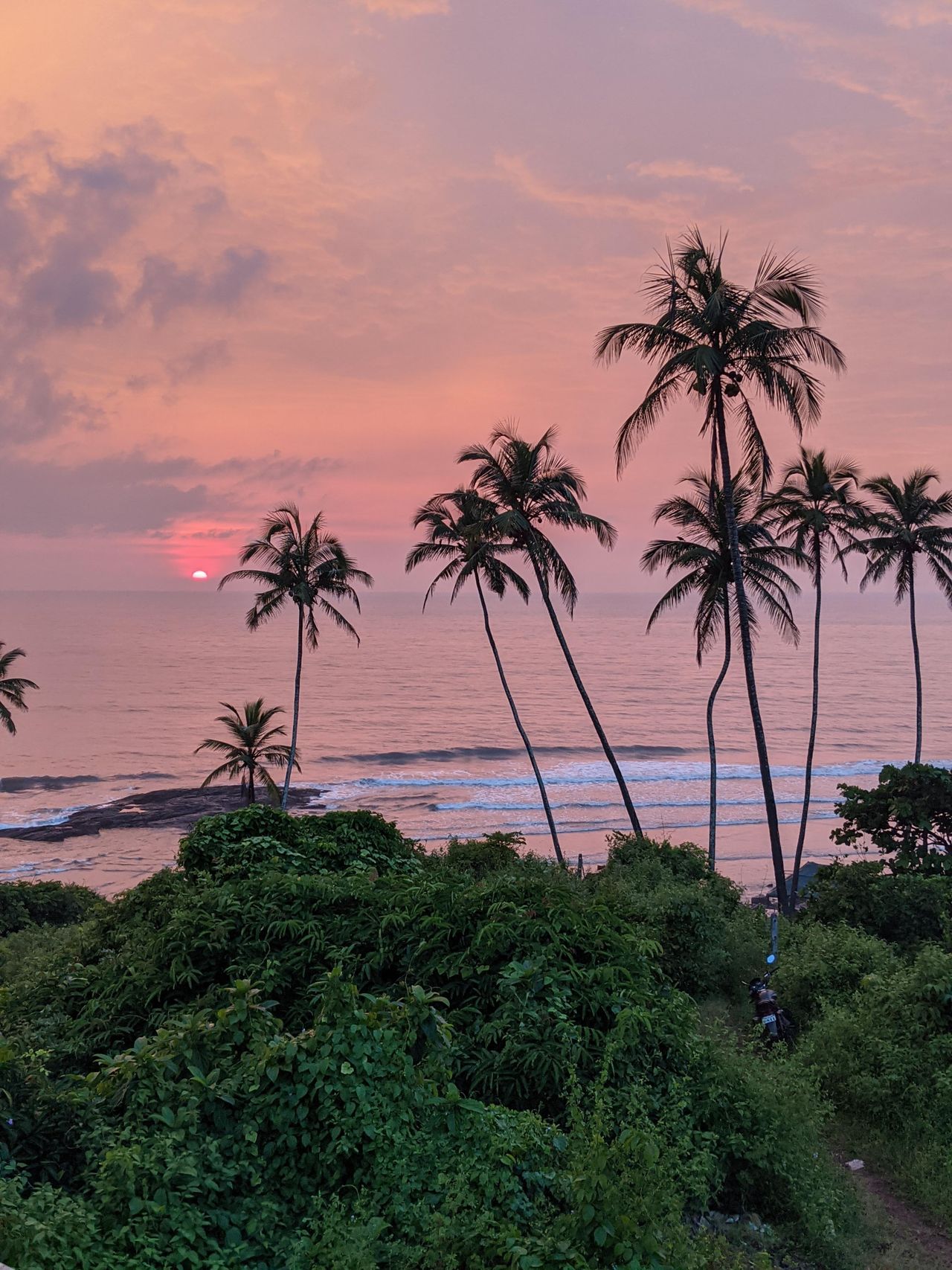 Palm-lined shoreline, Goa