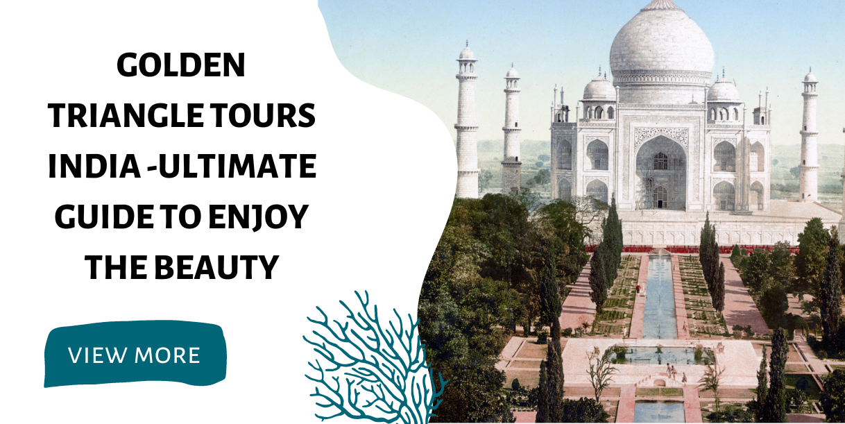 Golden Triangle Tours India -Ultimate Guide To Enjoy The Beauty