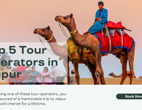 Top 5 Tour Operators in Jaipur