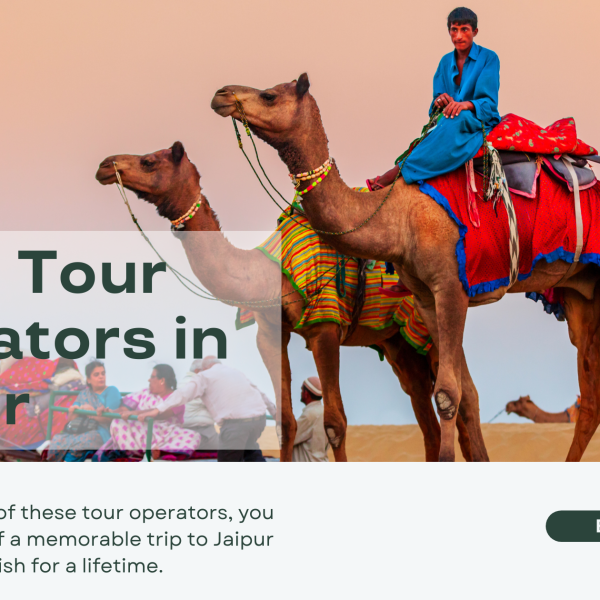 Top 5 Tour Operators in Jaipur